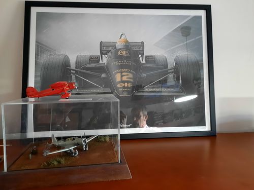 Customer photo review of LOTUS 97T | ARTPRINT