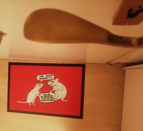 Customer photo review of FUSSMATTE • RATTEN & MENSCHENVERSUCHE