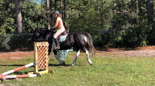 Customer photo review of HR-Farm Women Full Seat Side Pocket Silicone Horse Riding Breeches