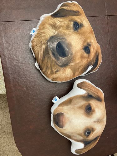 Customer photo review of Create A Custom Face Pillow