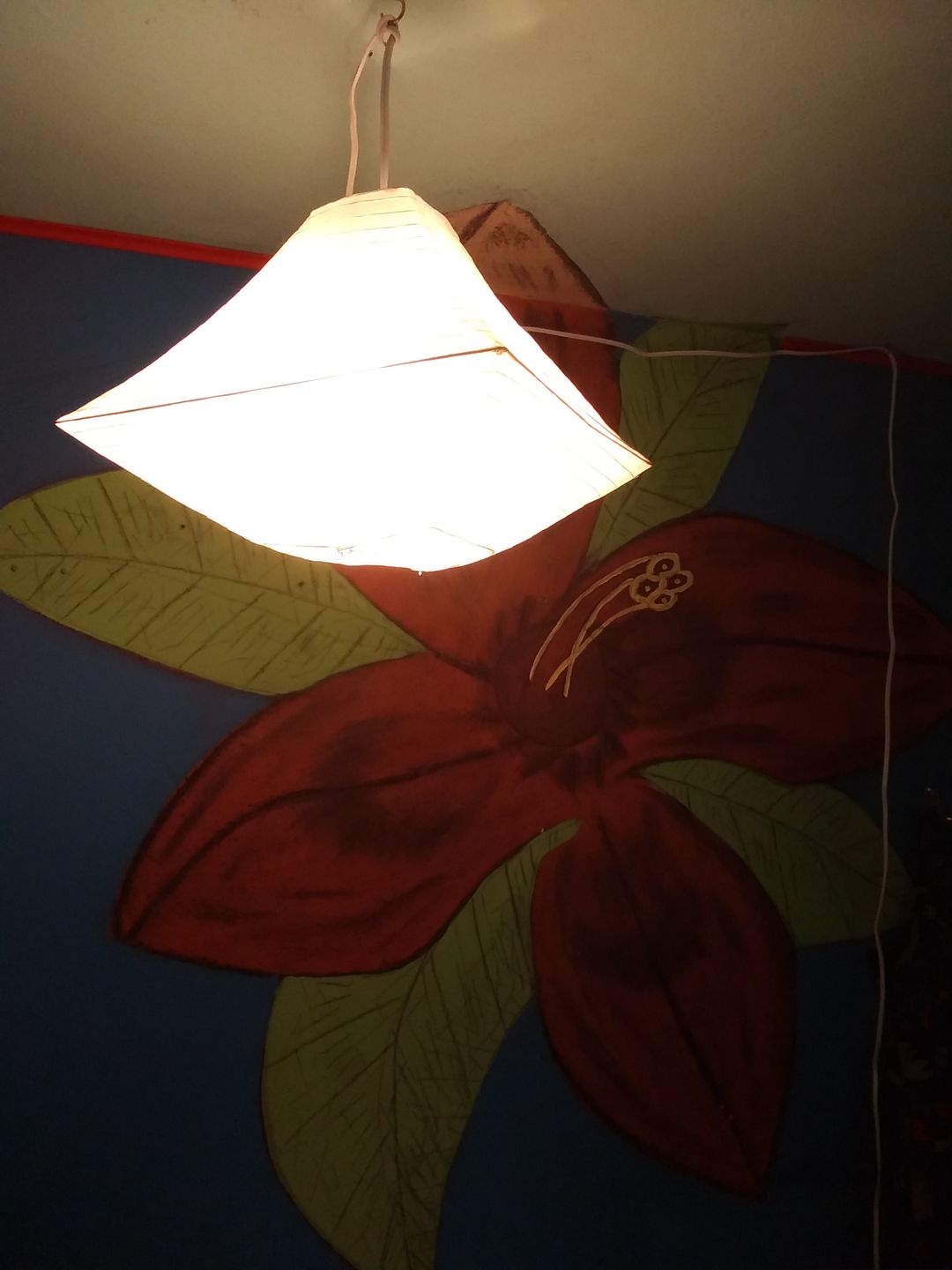 Customer photo review of Single Socket White Pendant Light Lamp Cord for Lanterns & Light Bulbs, 15FT, UL Listed, Switch - Electrical Swag Light Kit