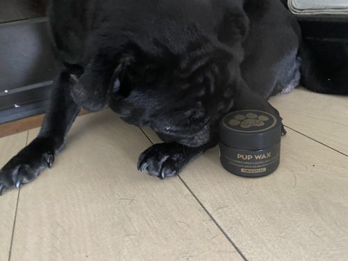 Customer photo review of Pup Wax Original Dog Nose Balm and Paw Wax
