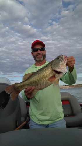 Customer photo review of Headbanger Spitfire 4.5"