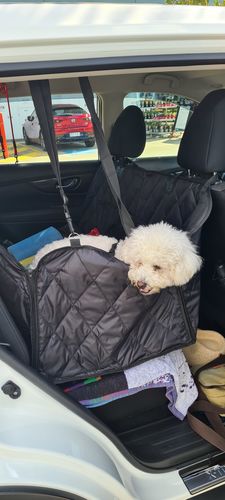 Customer photo review of Waterproof Dog Car Seat Cover Australia