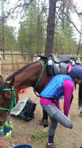 Customer photo review of HR Farm ETERNITY Equestrian Knee Patch Women Silicone Schooling Tights