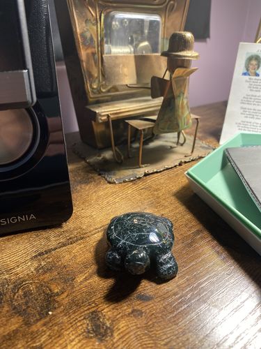 Customer photo review of Moss Agate Turtle