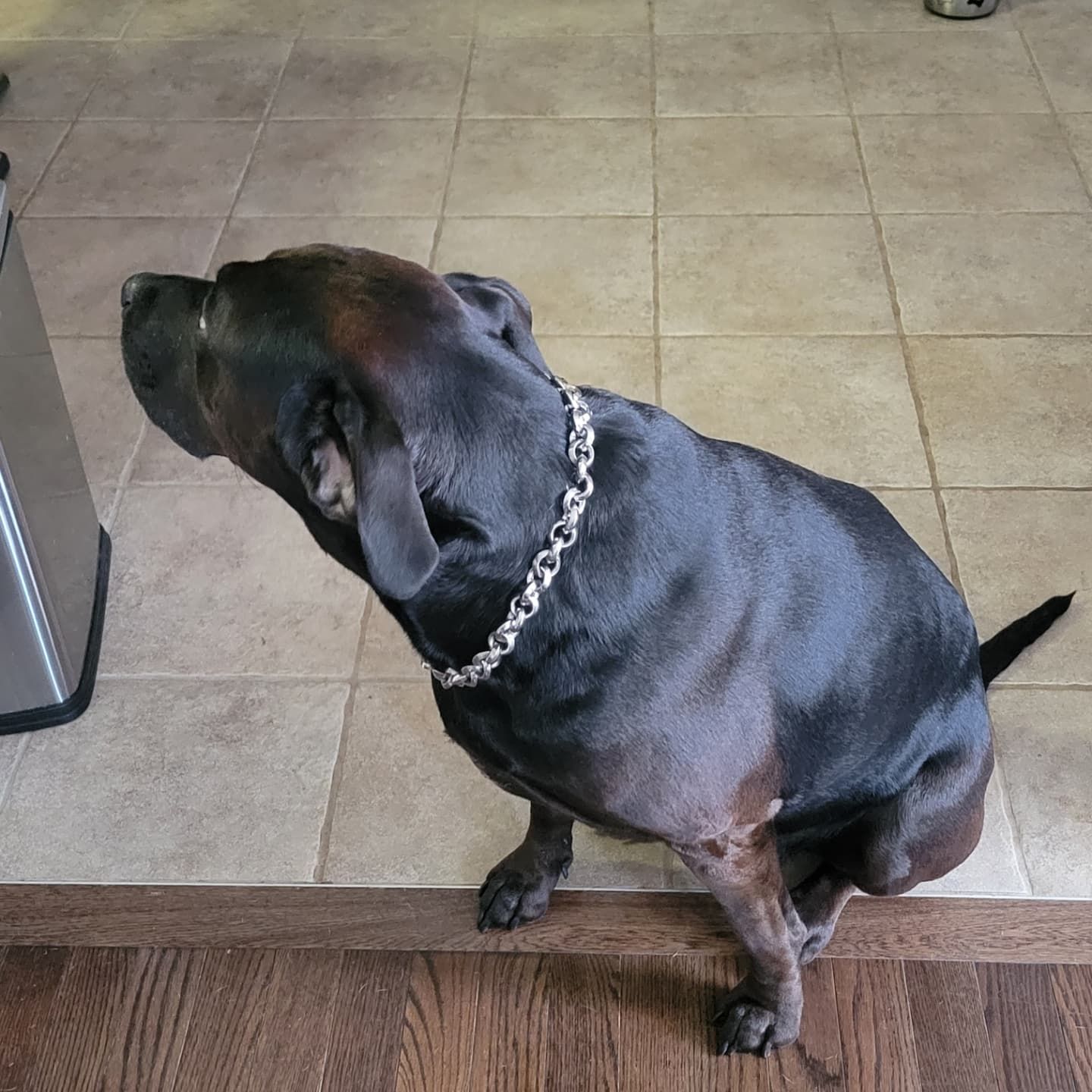 Customer photo review of THE ROLLA
