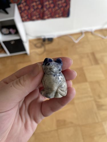 Customer photo review of Sodalite Cat