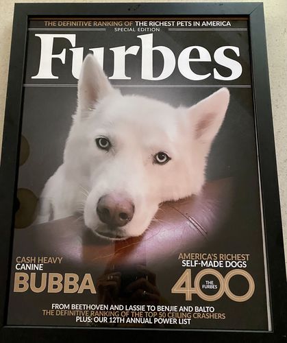 Customer photo review of Posing Pig Custom Print