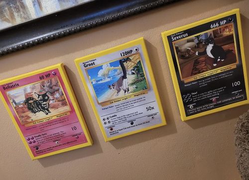 Customer photo review of PokePet Canvas