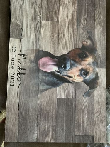 Customer photo review of Dog Memorial Portrait Photo If Love Could Have Saved You Gift for Pet Lovers Remembrance Sympathy Plaque Pet Bereavement Gift