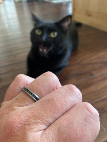 Customer photo review of The Thor