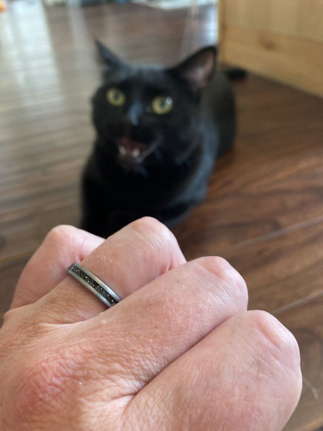 Customer photo review of The Thor