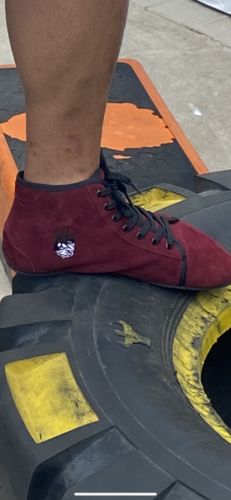 Customer photo review of Ursus [HT]