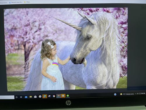 Customer photo review of Unicorn Castle