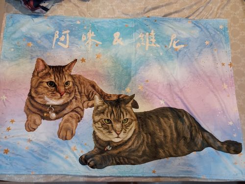 Customer photo review of 【客製】手繪寵物 法蘭絨毛毯