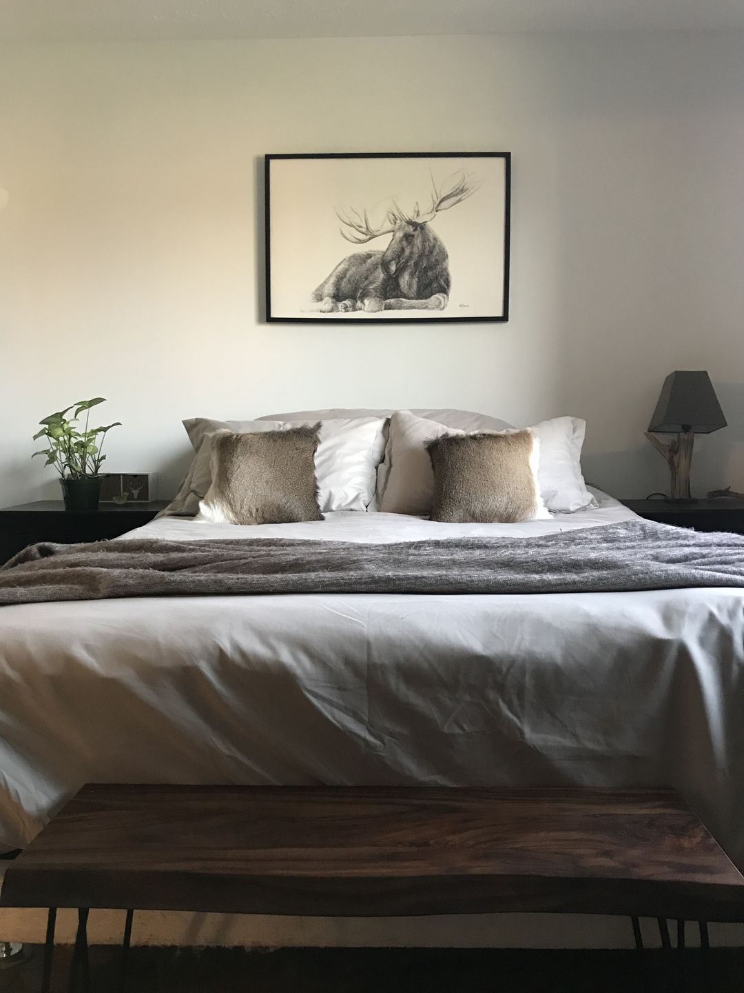 Customer photo review of Majestic Moose