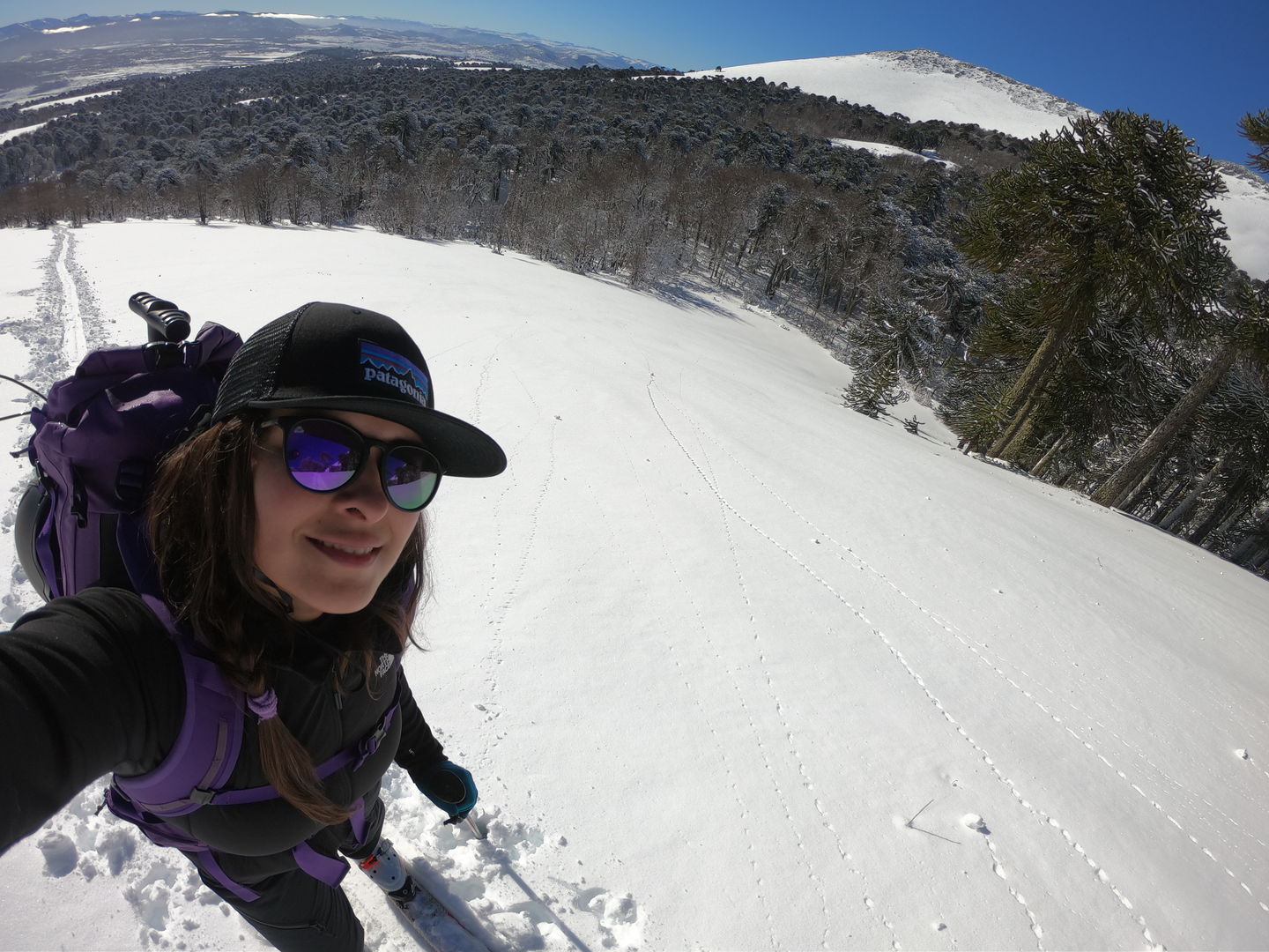 Customer photo review of Wolf Shadow - Nuevos segunda selección
