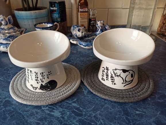 Customer photo review of Neko Raised Bowls