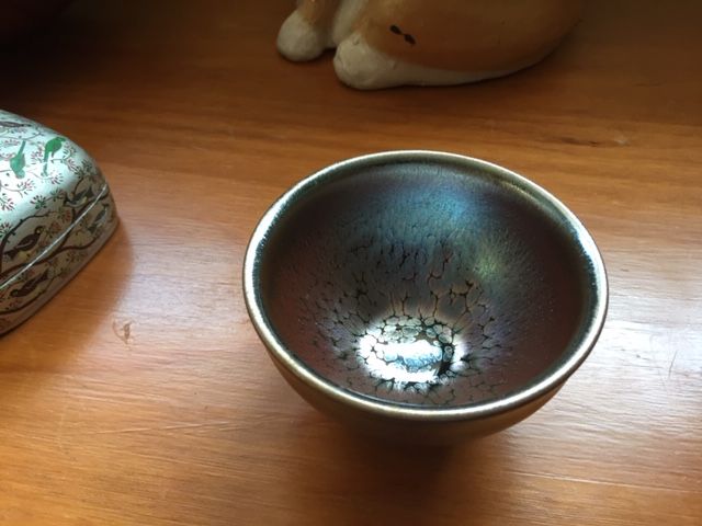 Customer photo review of Succulent