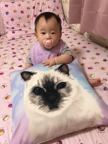 Customer photo review of 【同畫像】寵物抱枕