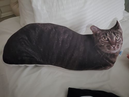 Customer photo review of Create A Custom Cat Pillow