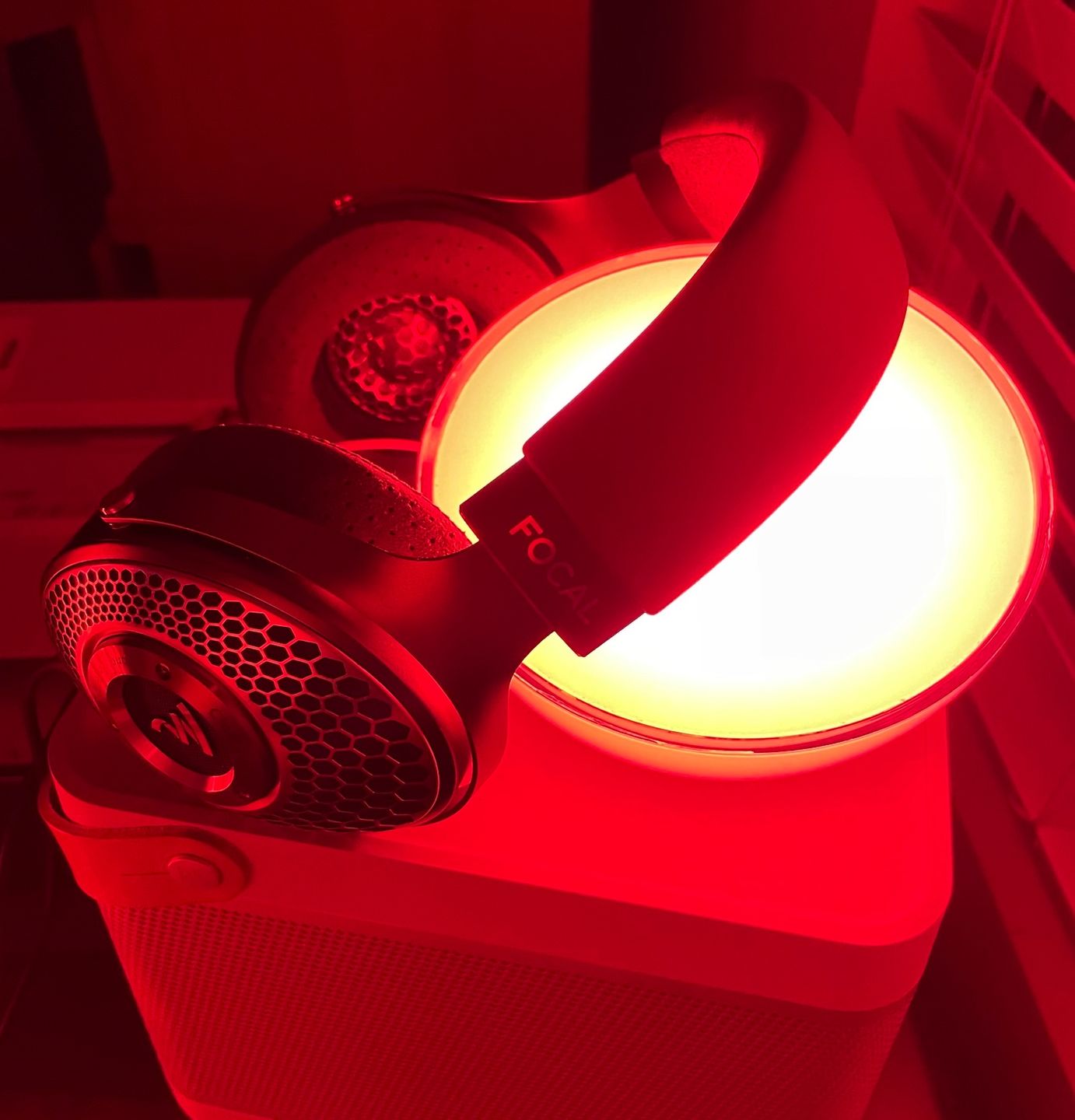 Customer photo review of Focal Clear Mg Headphones