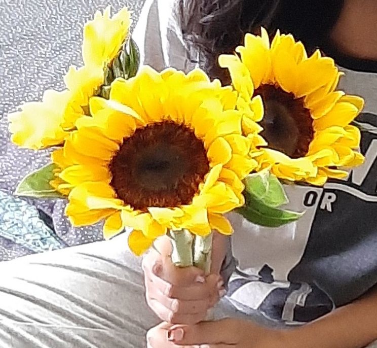 Customer photo review of Sunflowers
