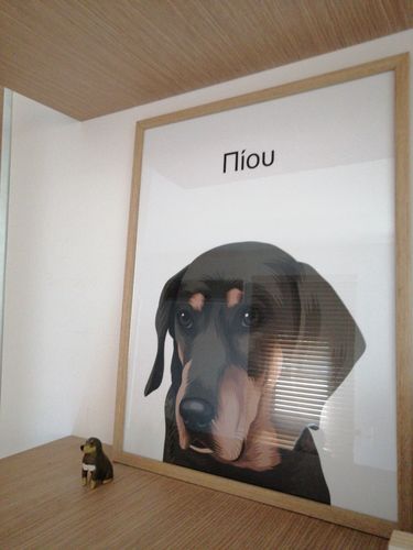 Customer photo review of Πορτραίτο Του Δικού Σας Κατοικίδιου - Πόστερ χωρίς κάρδο