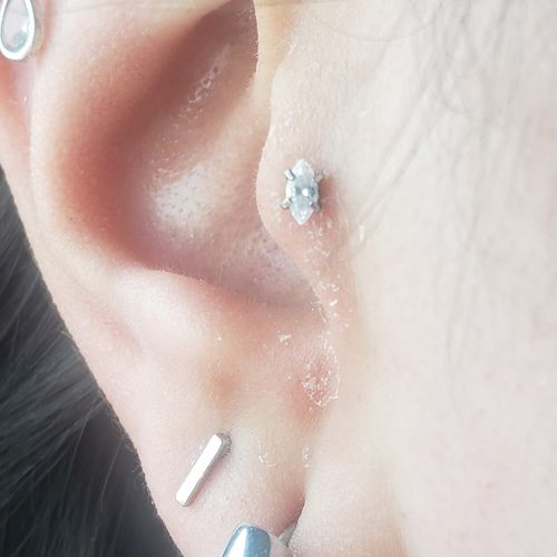 Customer photo review of Marquise Gem Internally Threaded Lip Ring