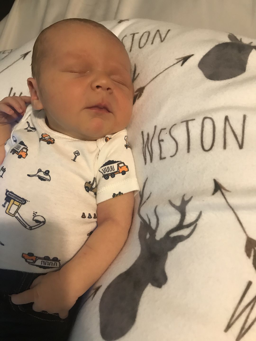 Customer photo review of Deer baby blanket, Woodland blanket, Personalized baby boy blanket, Fleece