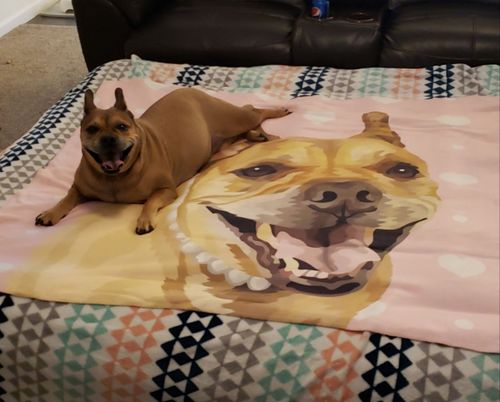 Customer photo review of Custom Pet Sherpa Blanket