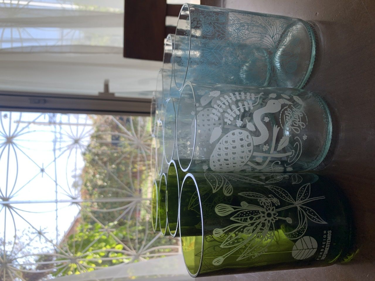 Customer photo review of Aves de Chile Juego de 4 Vasos