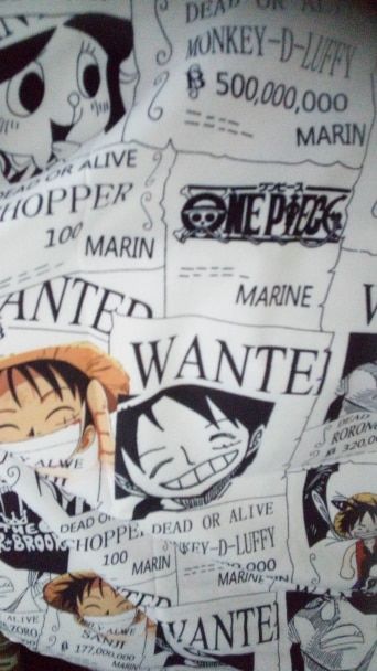Customer photo review of One Piece Summer Shirt