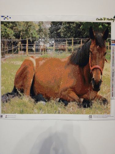 Customer photo review of Diamond Painting - Dein Wunschmotiv