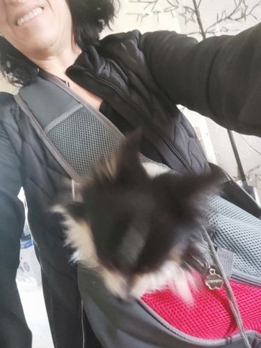 Customer photo review of Sac de transport à bandoulière pour petit chien et chat
