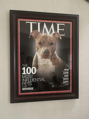 Customer photo review of Posing Pig Custom Print