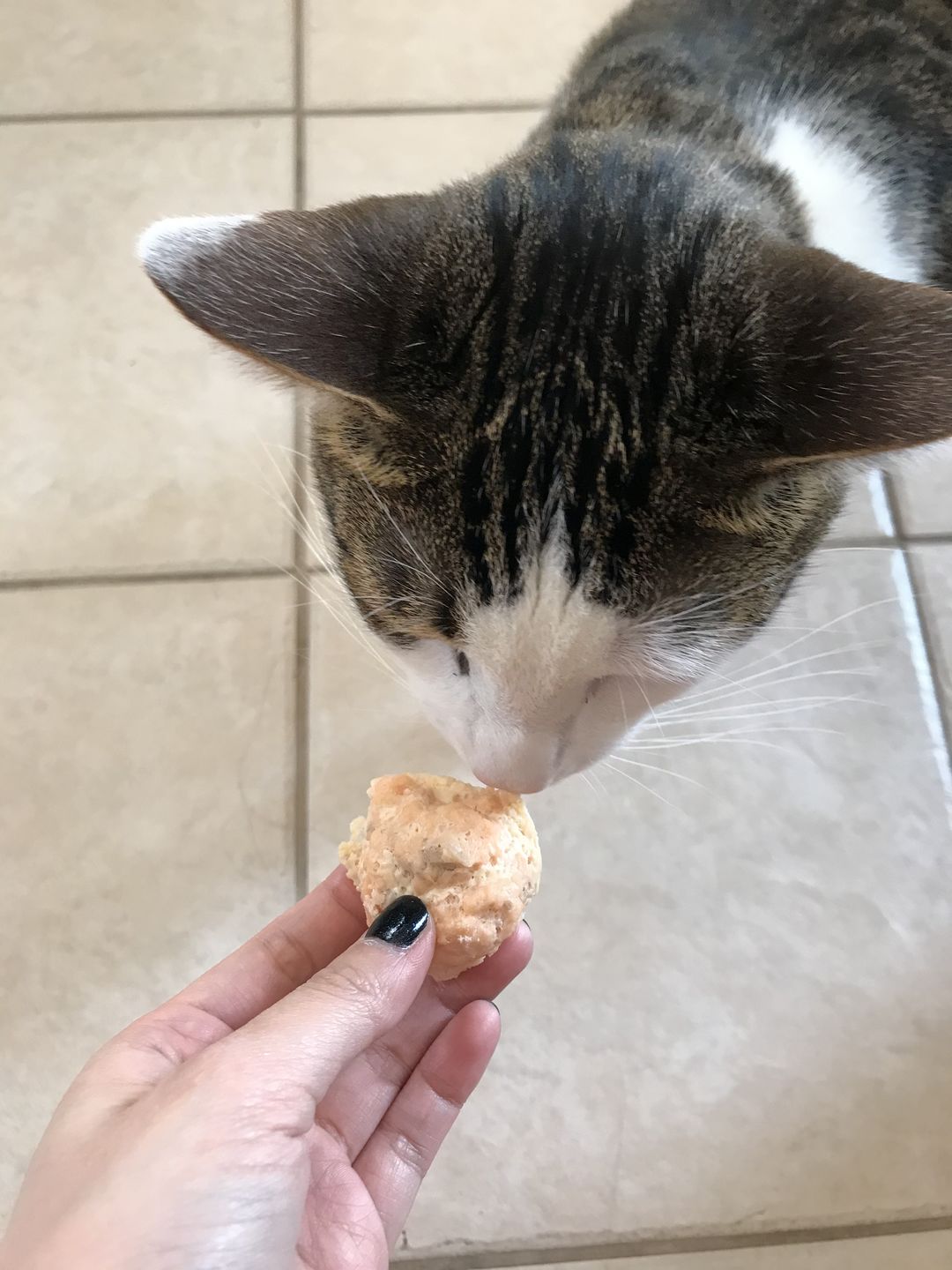 Customer photo review of Dog and Cat Salmon Ball Treats