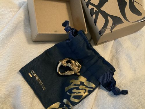 Customer photo review of Saber Toothed Tiger Skull | Brass Skull & Silver Fangs