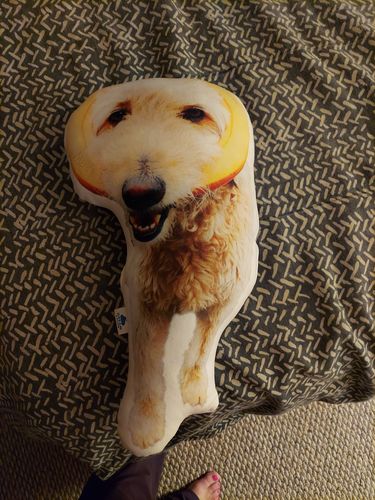 Customer photo review of Create A Custom Dog Pillow