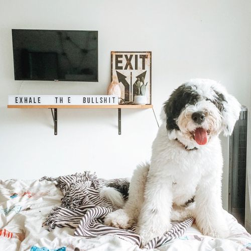 Customer photo review of BRIGHT - Mobile Presets