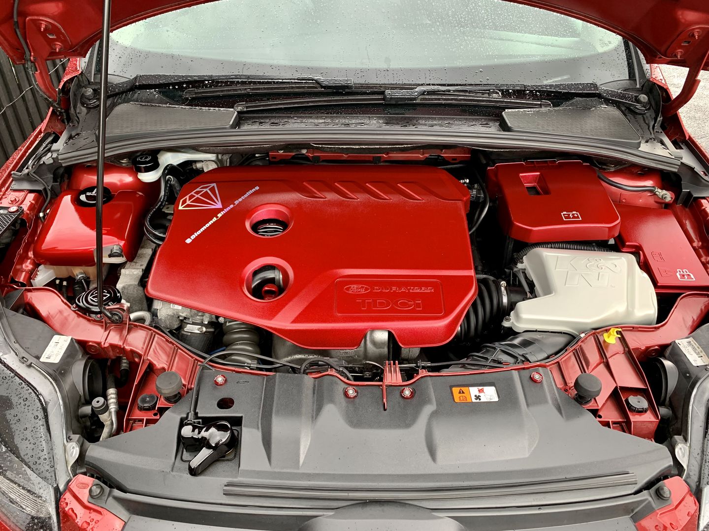 Customer photo review of Proform Bonnet Catch Cover (various colours) - MK3 / 3.5 Focus & Mk2 Puma