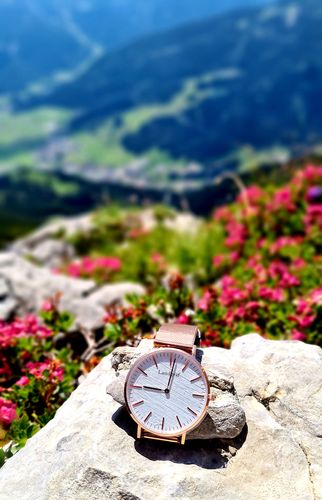 Customer photo review of 24 Monate Landgraf Sorglos Garantie Plus