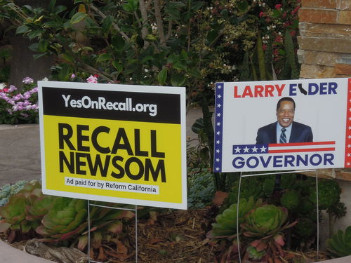 Customer photo review of Larry Elder For California Governor Yard Sign