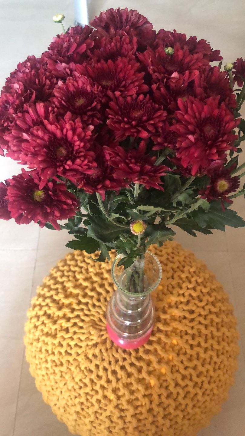 Customer photo review of Subscribe to Cut Flowers - Basics