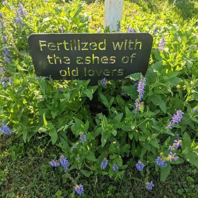 Customer photo review of Custom Garden Sign | Garden Sign | Personalized Garden Sign | Garden |  Garden Stake | Garden Art | Metal Yard Art