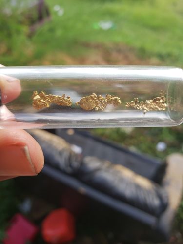 Customer photo review of 5 Lb. Rich Gold Paydirt Unsearched Concentrate