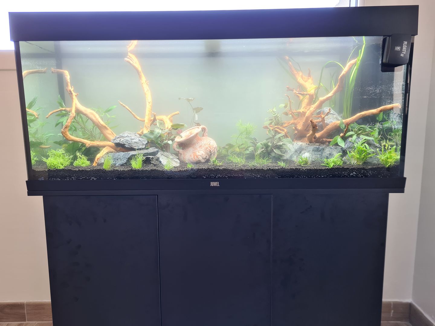 Customer photo review of Aquarium Rio 240 LED Noir Équipé JUWEL - 240L