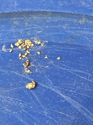 Customer photo review of *BOGO* Pioneer '2 OUNCE NUGGET HUNT' - Gold Panning Paydirt Concentrate