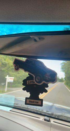 Customer photo review of One Custom Air Freshener